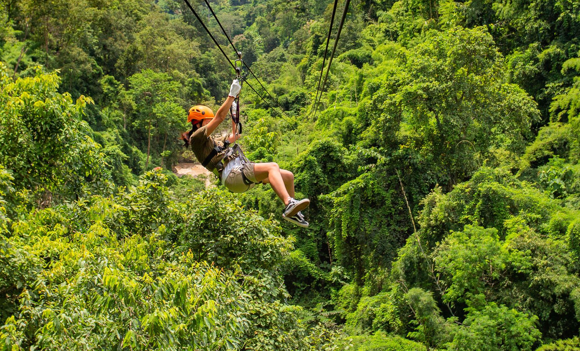 Jungle Zipline